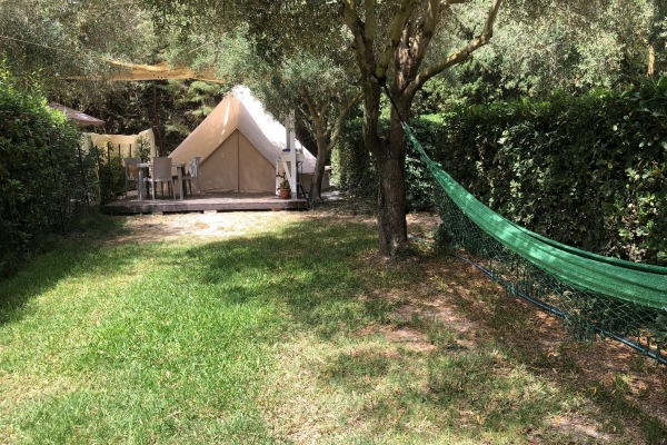 tenda safari